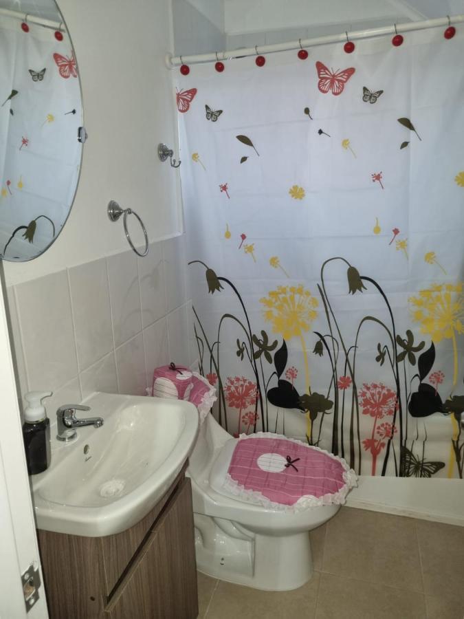 Holiday home Casa Alto Frutillar